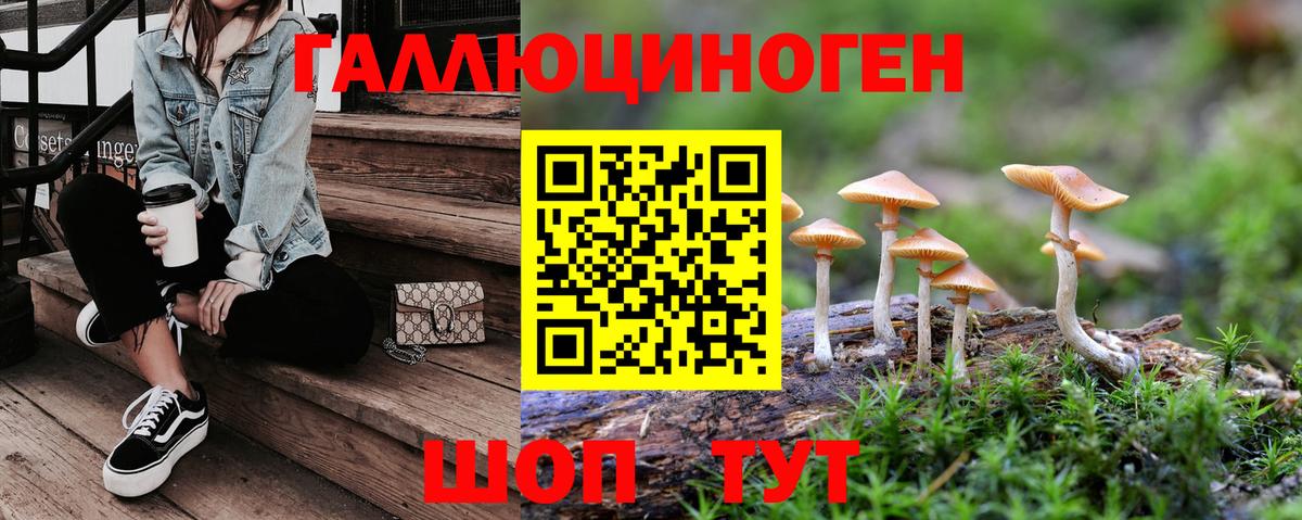 наркота  Галлюциногенные грибы Cubensis  Вход с VPN  Махачкала 